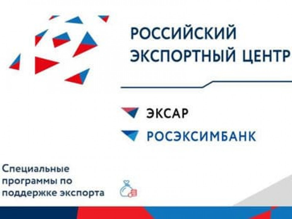 Группа РЭЦ развивает финансовый инструментарий поддержки МСП в рамках нацпроекта